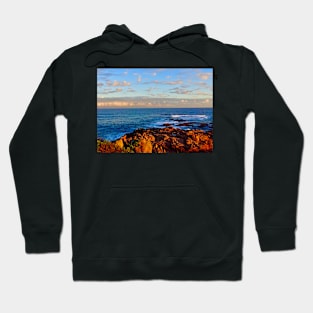 Red Rocks of the Sea! Hoodie